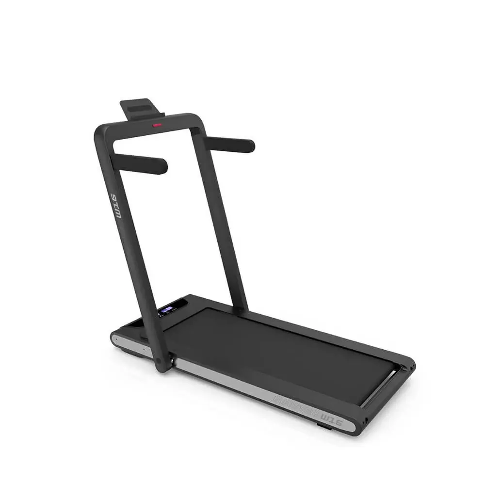 Master Fitness W16