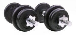Byggbart hantelset i järn - 2 x 12 kg