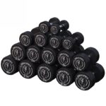 Gorilla Sports gummerad hantel 2,5-40 kg