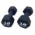 Master Fitness Neoprenhantlar i par