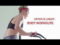 Schwinn Airdyne AD2 motionscykel