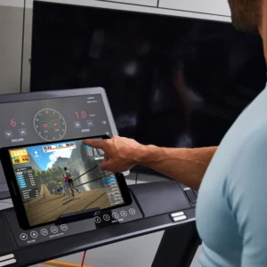 hammer sport qvadis 100 display hammer sport qvadis 100 display