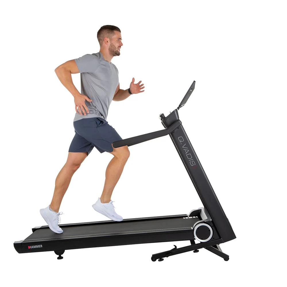 hammer-sport-qvadis-100-joggar hammer sport qvadis 100 joggar